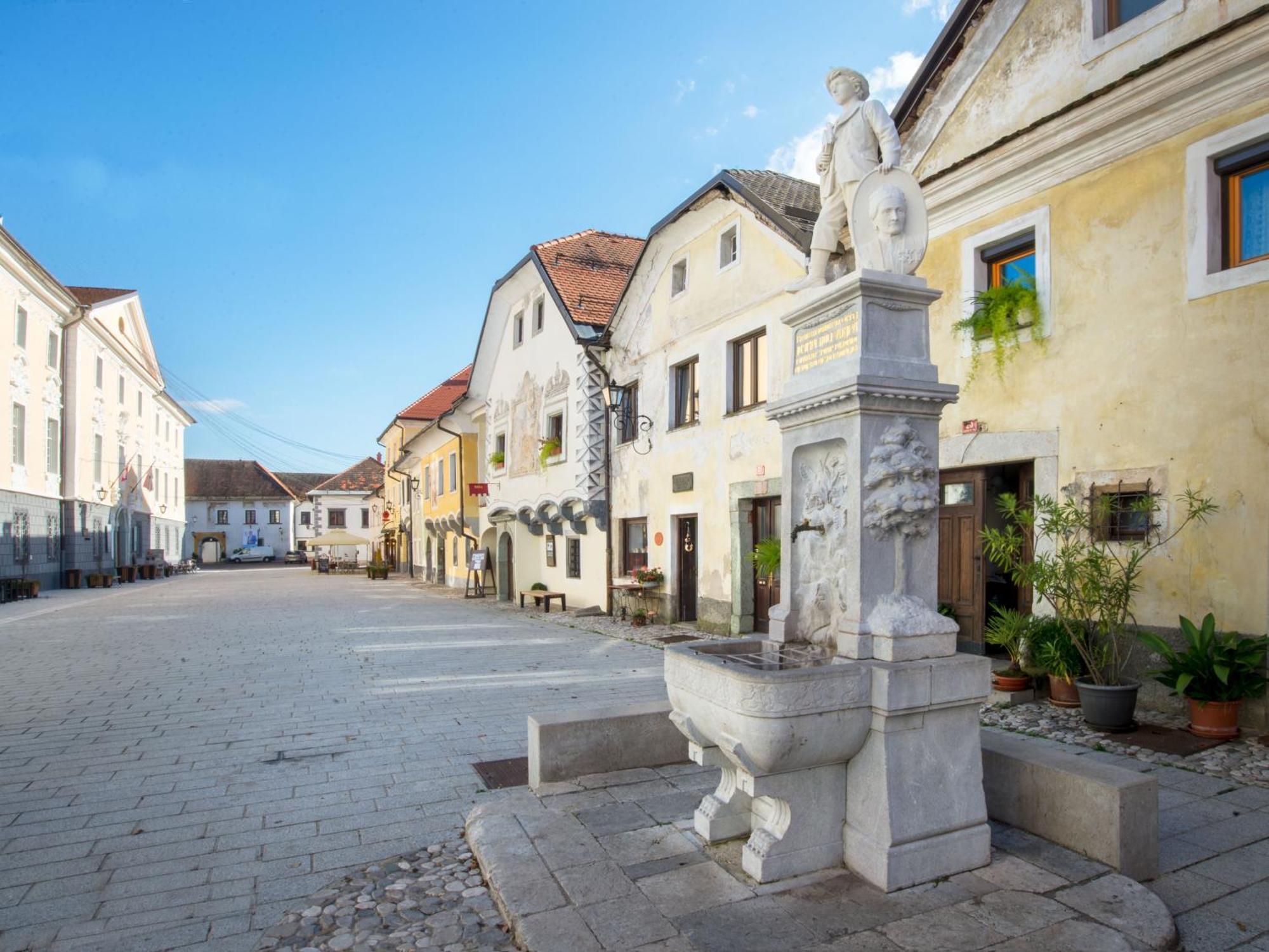 Art House Radovljica 아파트 외부 사진